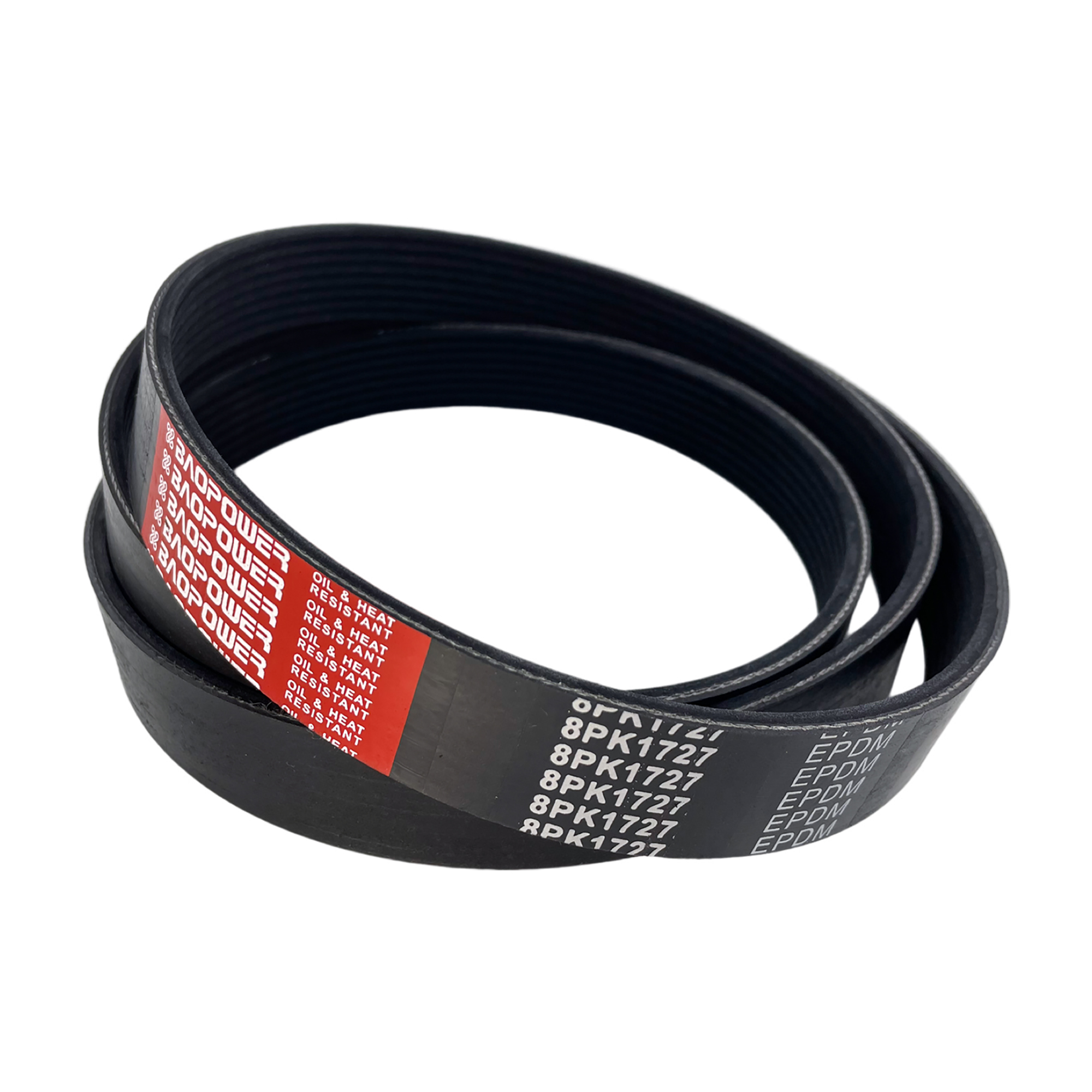 Ceinture nervurée Poly V