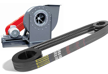 Application de courroies d'entraînement