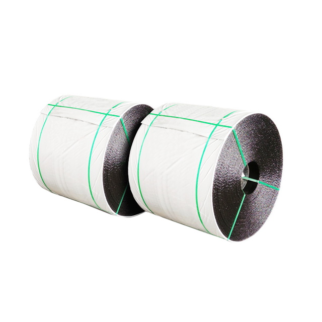 Ceintures de convoyeur nn